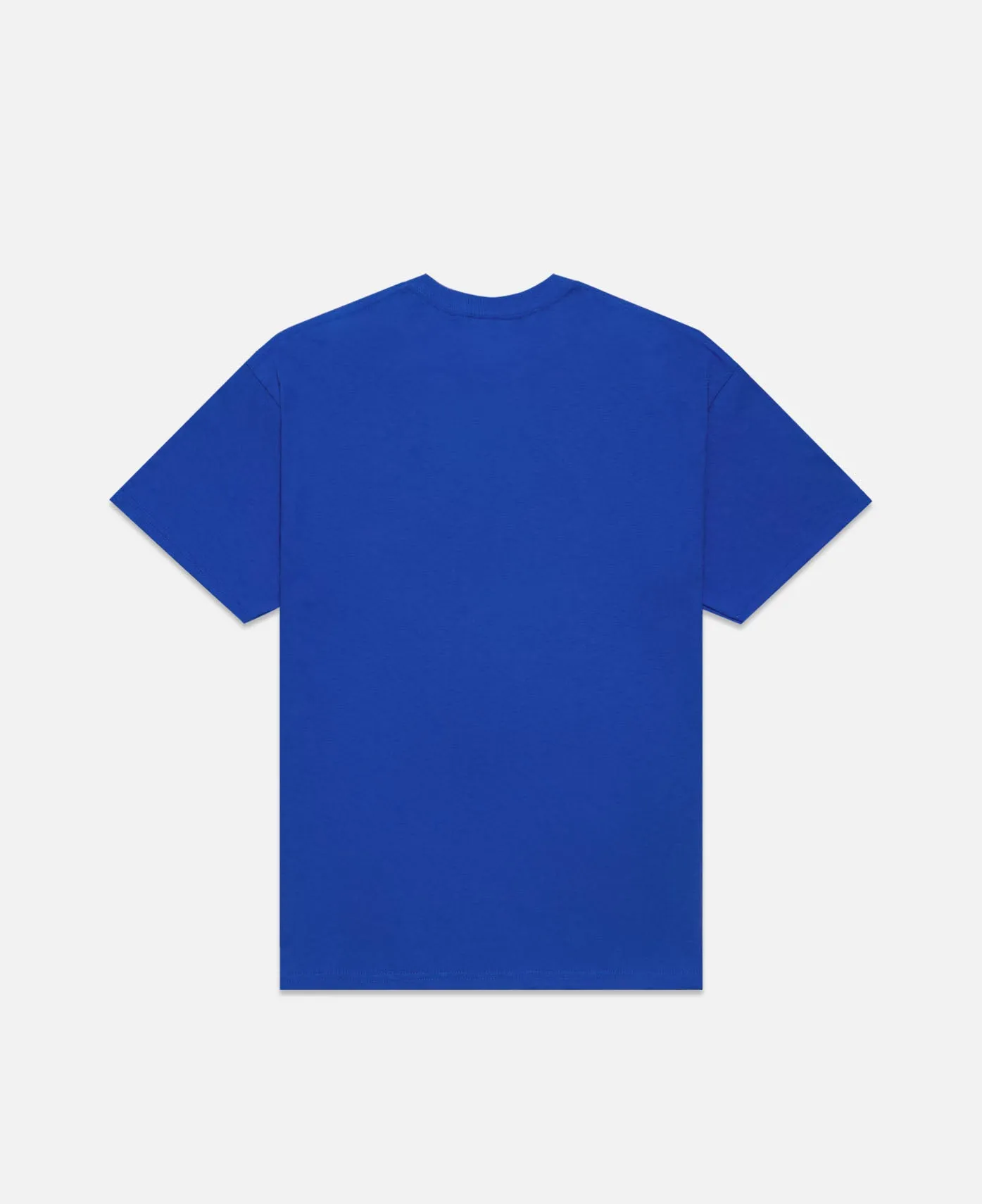 Book Club T-Shirt (Blue)
