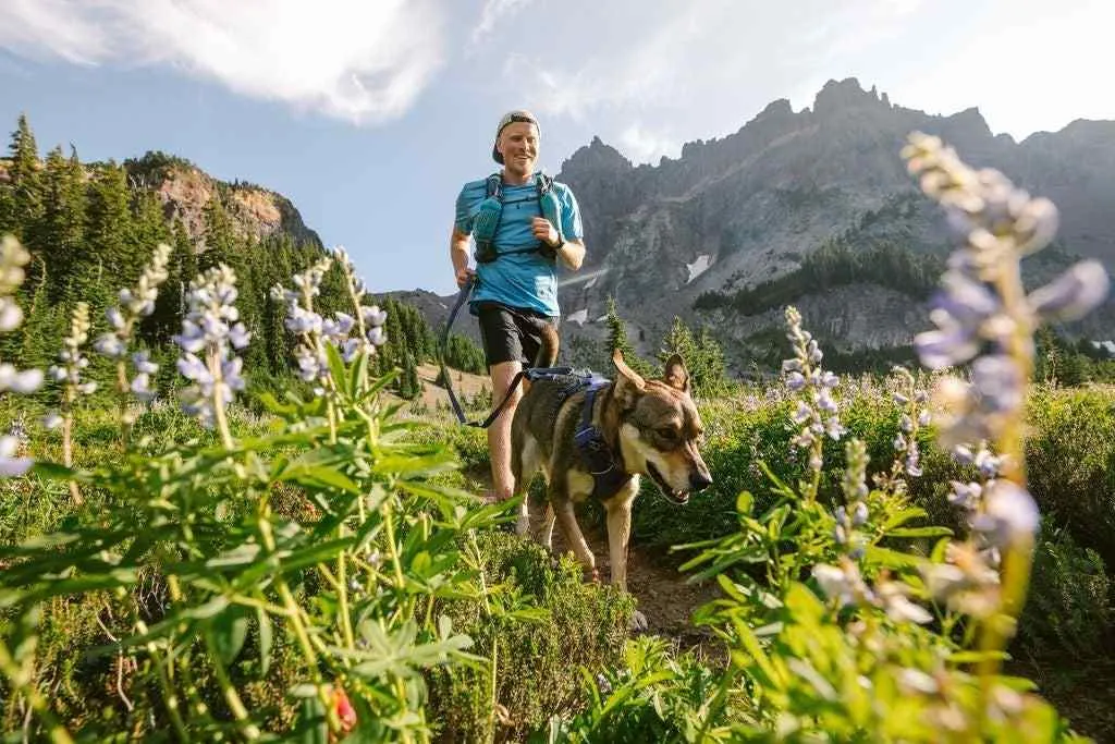 Multi-Functional, Front Range Ruffwear Dog Harness