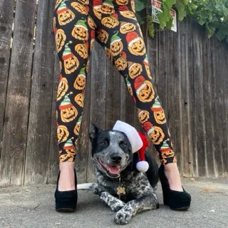 Santa Jacks (Exclusive) - High-quality Handcrafted Vibrant Leggings