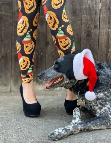 Santa Jacks (Exclusive) - High-quality Handcrafted Vibrant Leggings