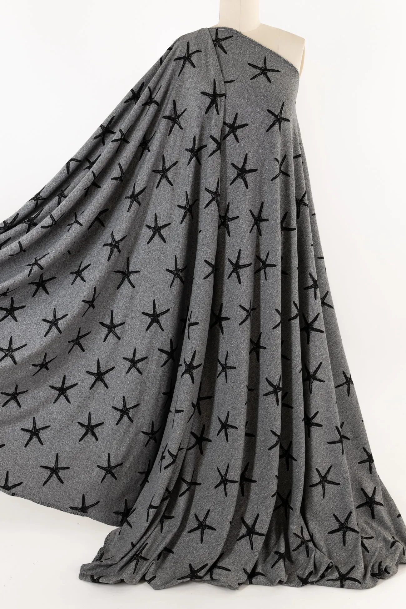 Starfish Cotton French Terry
